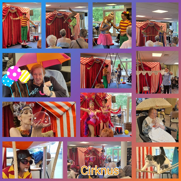 Cirknus