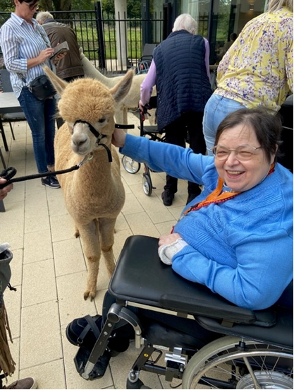 Afbeelding van Sevagram