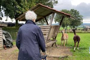 Sevagram Jaarverslagen