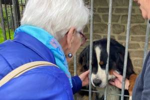 Sevagram Jaarverslagen