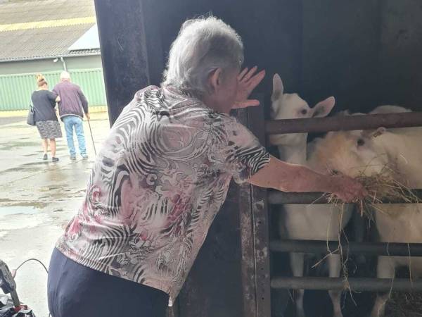 Sevagram Jaarverslagen