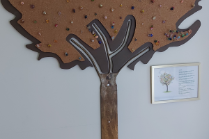 Sevagram Jaarverslagen