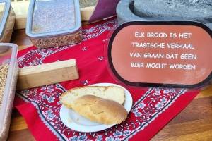 Sevagram Jaarverslagen