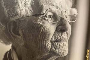 Sevagram Jaarverslagen