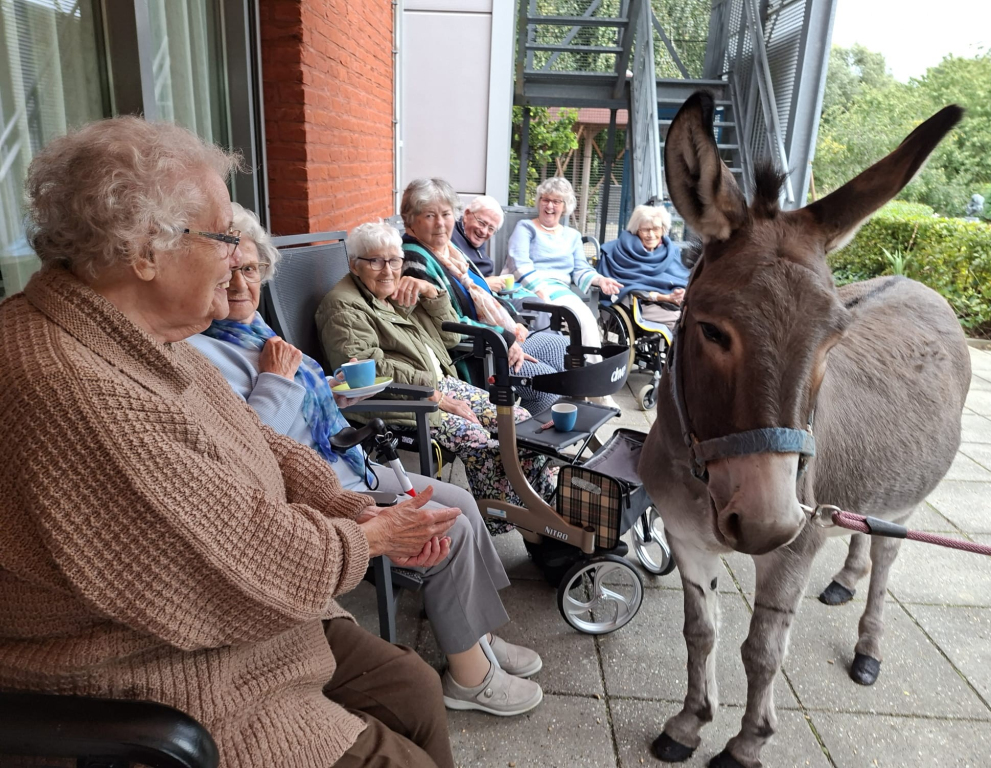 Afbeelding van Sevagram