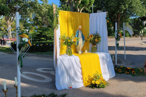 Sevagram Jaarverslagen