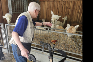 Sevagram Jaarverslagen