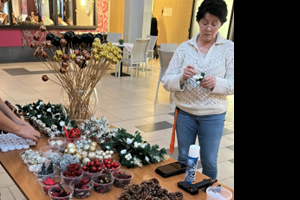 Sevagram Jaarverslagen