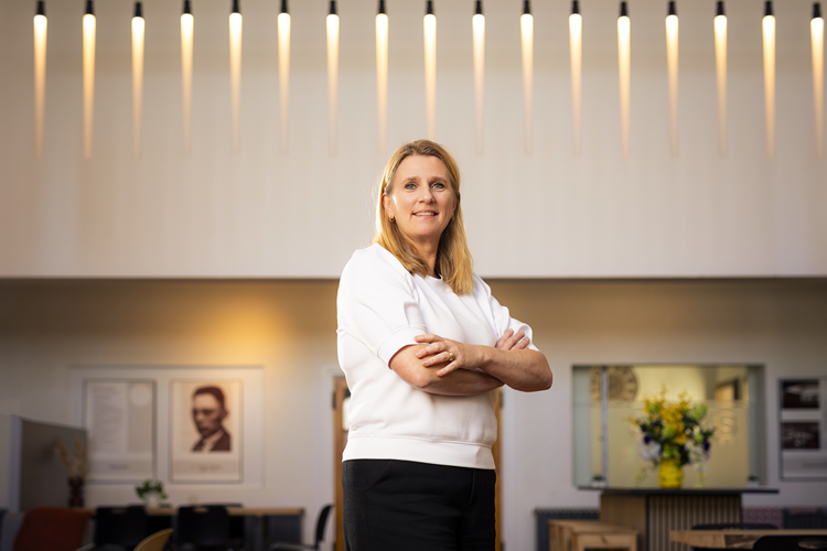 Afbeelding van Sevagram