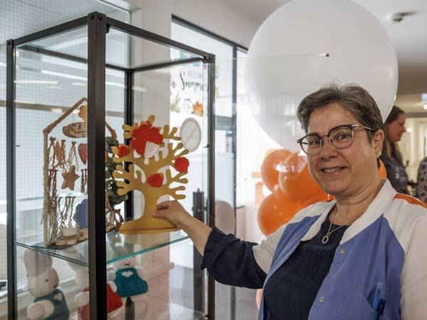 Sevagram Jaarverslagen