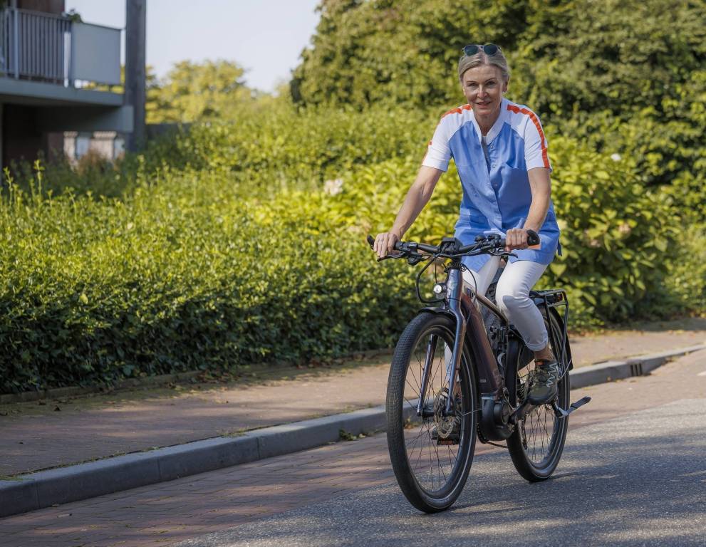 Afbeelding van Sevagram